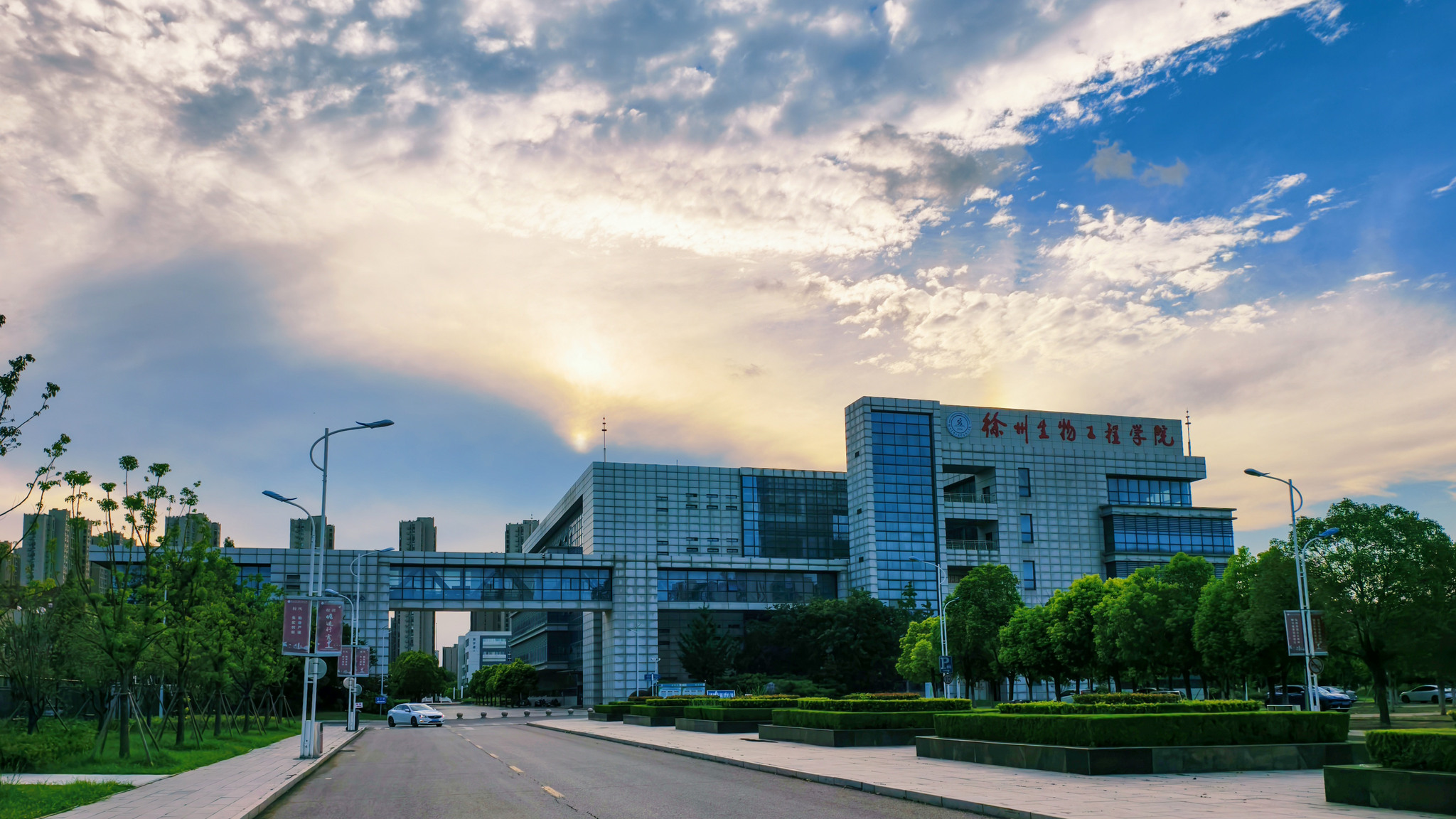 图文信息大楼实景，晚霞映衬下的建筑与校园道路